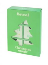 Adventkalender box green