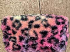 leopard rainbow